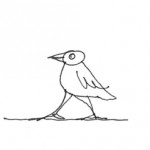 bird.jpg