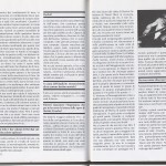 zev6.JPG